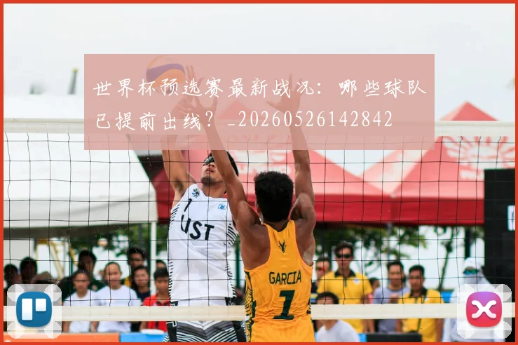 世界杯预选赛最新战况：哪些球队已提前出线？_20260526142842